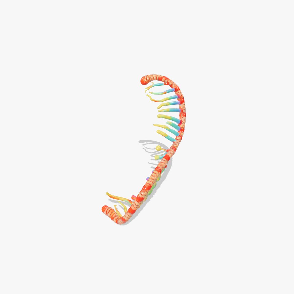 DNA Helix D Model Pack